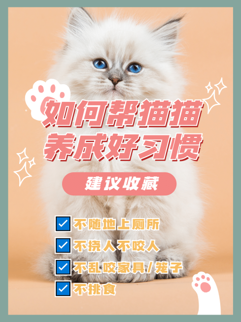 简约轻设计萌宠宠物攻略小红书配图预览效果