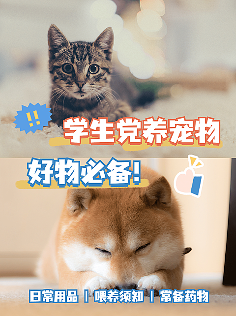 简约轻设计宠物晒图分享小红书配图