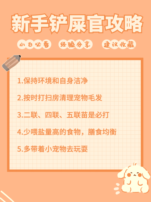 萌宠宠物可爱手帐风小红书封面配图预览效果