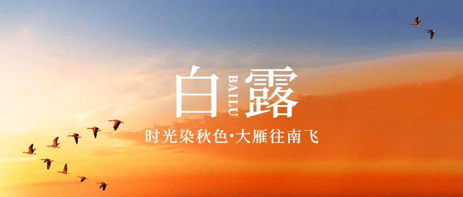 白露节气祝福实景白鹭公众号首图预览效果