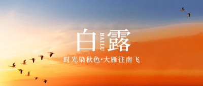 白露节气祝福实景白鹭公众号首图