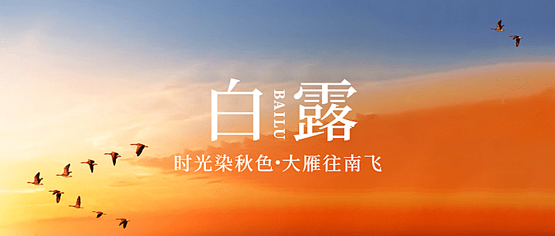 白露节气祝福实景白鹭公众号首图