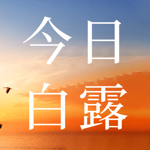 白露节气祝福实景白鹭公众号次图预览效果