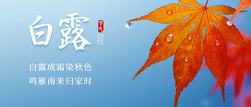 白露节气祝福秋天枫叶公众号首图