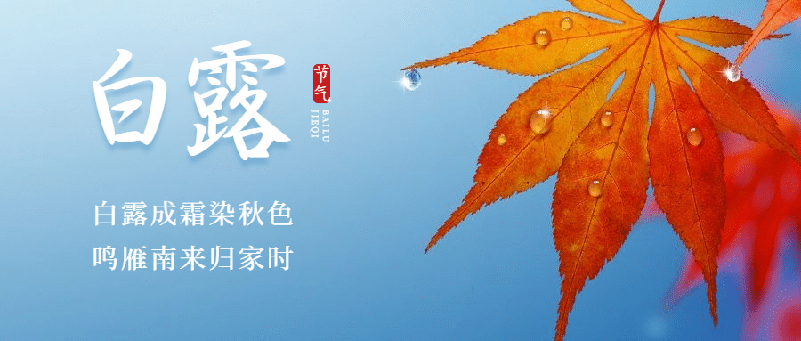 白露节气祝福秋天枫叶公众号首图