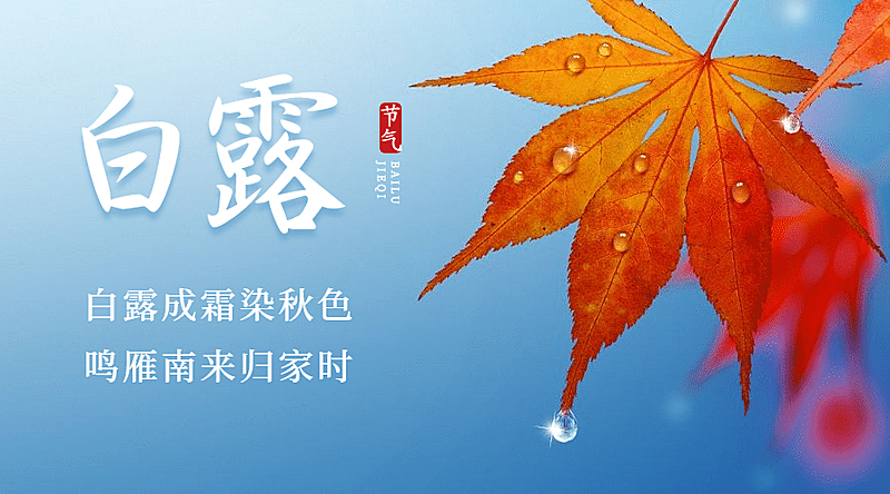 白露节气祝福秋天枫叶横版海报