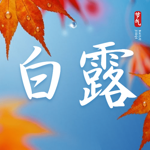 白露节气祝福秋天枫叶公众号次图预览效果