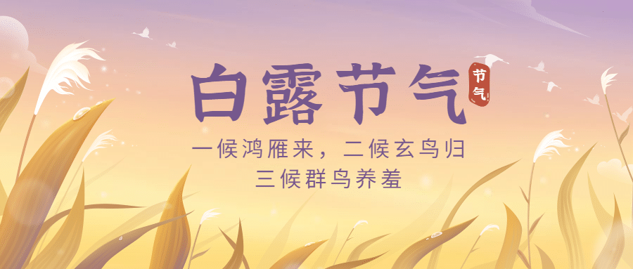 白露节气祝福芦苇手绘公众号首图预览效果