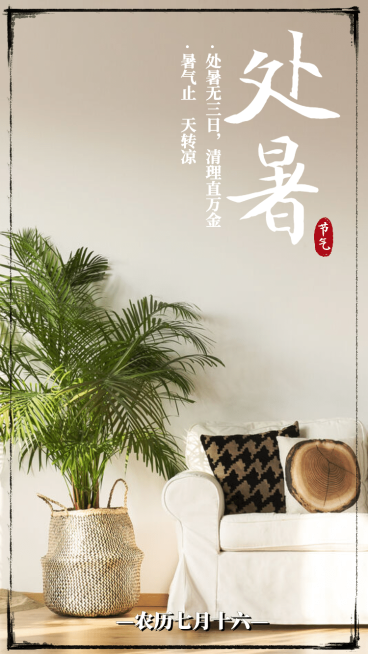处暑实景绿植沙发预览效果