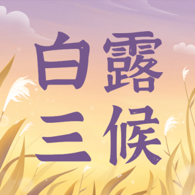 白露节气祝福芦苇手绘公众号次图