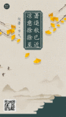 模板缩略图