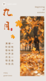 模板缩略图