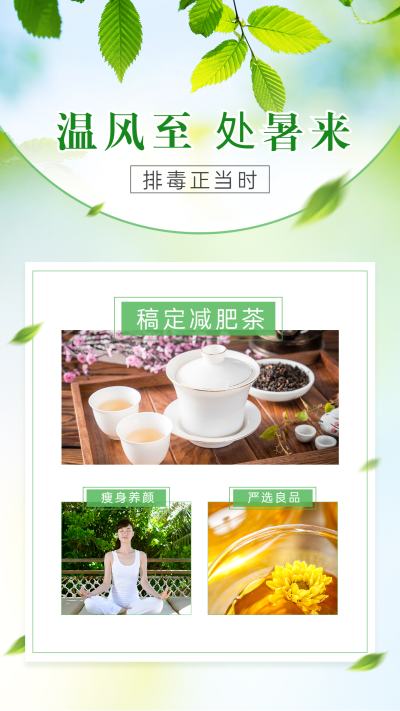 处暑养生产品展示营销海报