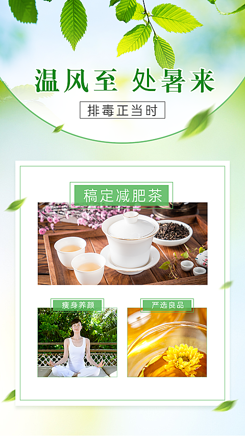 处暑养生产品展示营销海报