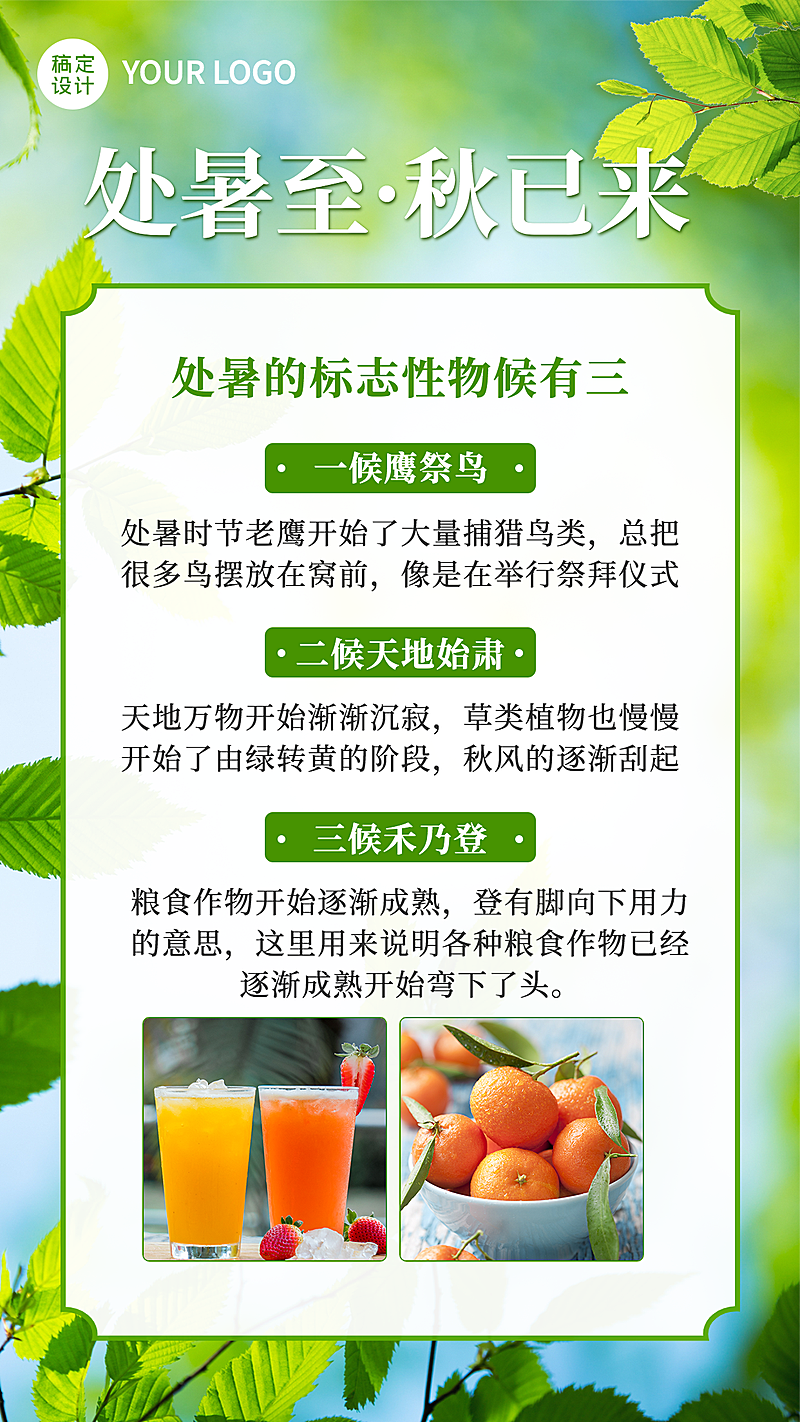 处暑绿叶实景风排版节气科普