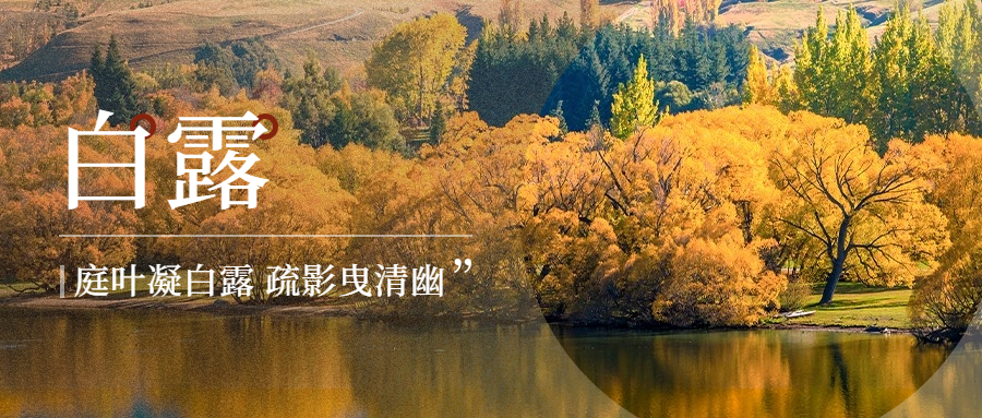 白露节气祝福实景日签公众号首图预览效果