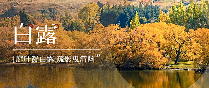 白露节气祝福实景日签公众号首图