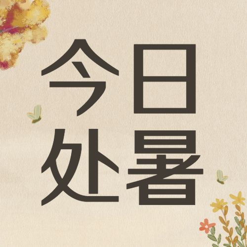 处暑简约手绘中国风公众号次图预览效果