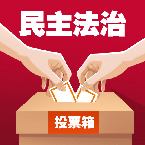 国际民主日公平投票公众号次图预览效果
