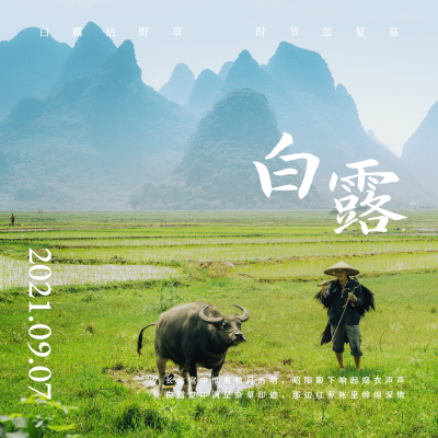晒照白露自然草原高山晒风景
