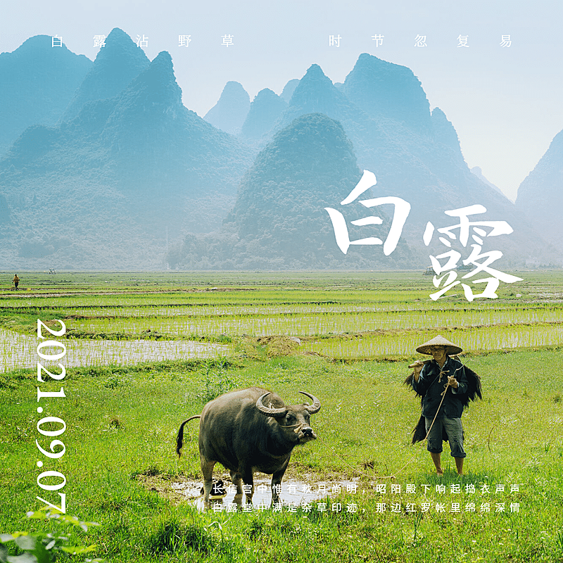 晒照白露自然草原高山晒风景