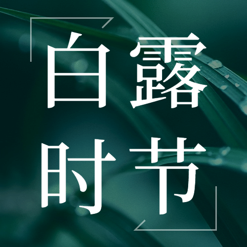 白露节气祝福问候实景公众号次图预览效果