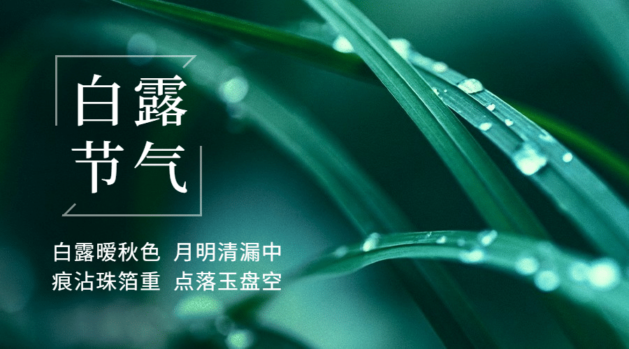 白露节气祝福问候实景横版海报