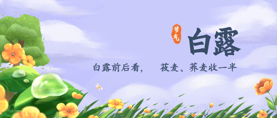 白露节气祝福秋天手绘公众号首图预览效果