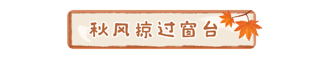 秋分节气枫叶飘动动态分割线预览效果