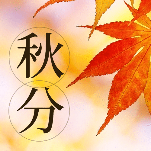 通用秋分节气祝福文艺感公众号次图预览效果