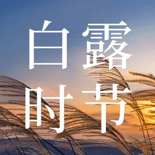 白露节气祝福问候实景公众号次图预览效果