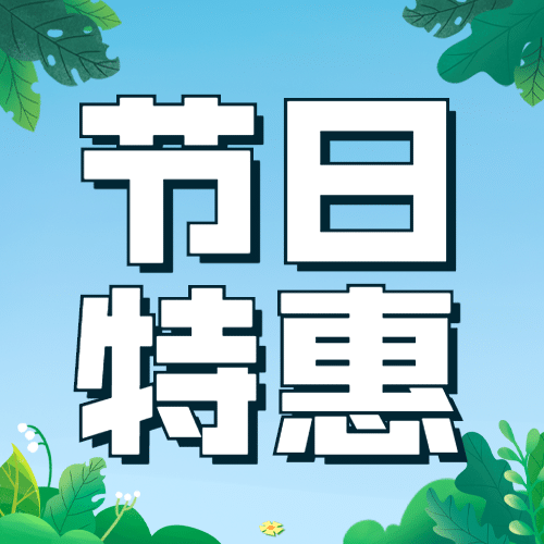 节日特惠简约清新公众号次图预览效果