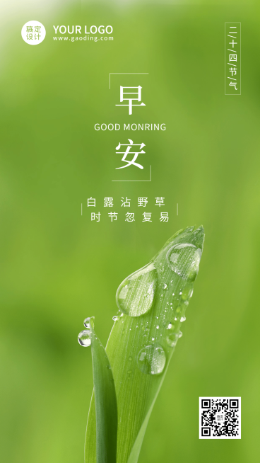 白露节气日签实景绿叶海报预览效果