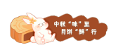 模板缩略图