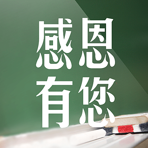 教师节感恩有您简约大字公众号次图