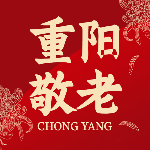 重阳节慰问演出主题活动创意公众号次图预览效果