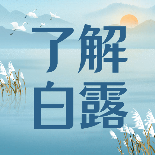 白露节气祝福问候手绘古风次图预览效果