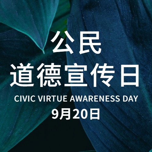 公民道德宣传日公益活动公众号次图预览效果