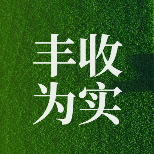 通用农民丰收节祝福实景公众号次图预览效果