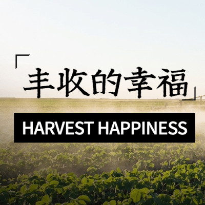 通用农民丰收节祝福实景公众号次图
