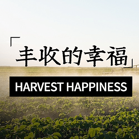 通用农民丰收节祝福实景公众号次图