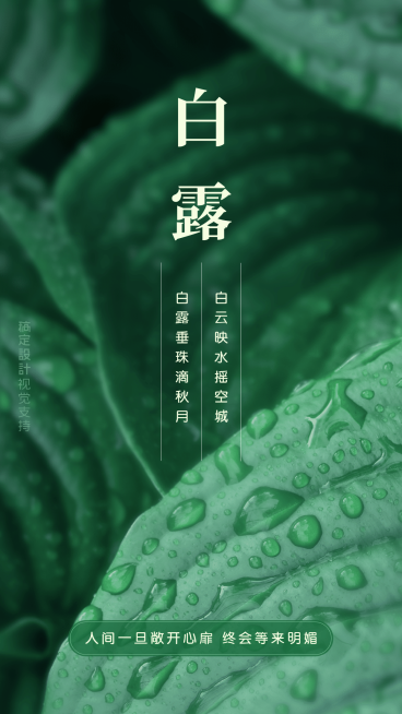 白露节气全屏壁纸实景水滴叶子手机海报预览效果