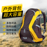 模板缩略图