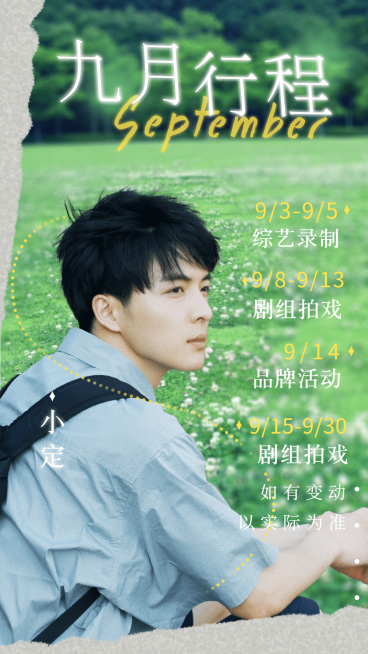 清新简约明星爱豆行程海报预览效果