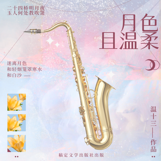 小说简约梦幻风有声书电台播客封面预览效果