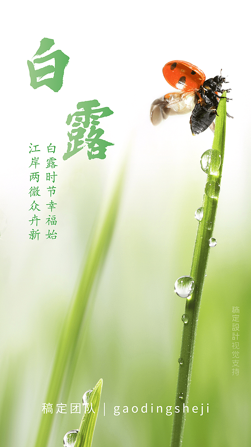 白露节气纯风景祝福实景合成
