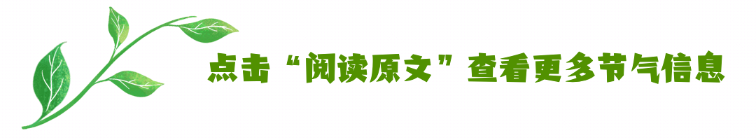 白露节气绿叶GIF引导阅读原文预览效果