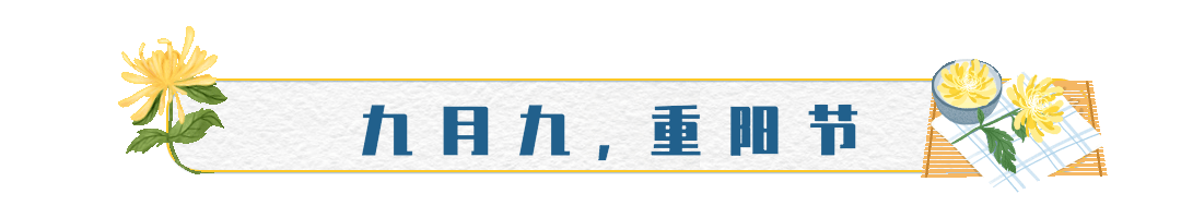 九九重阳节菊花手绘GIF动态标题预览效果