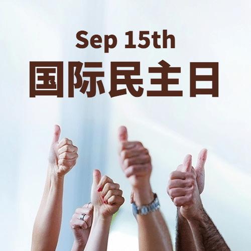 国际民主日公平公正实景公众号次图预览效果