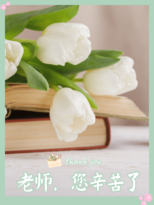 教师节晒图老师辛苦了鲜花预览效果